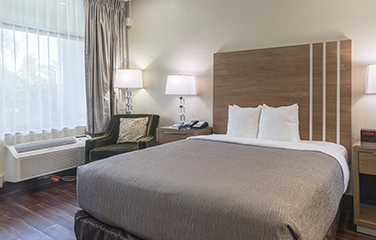 1 Queen Bed - Non-smoking